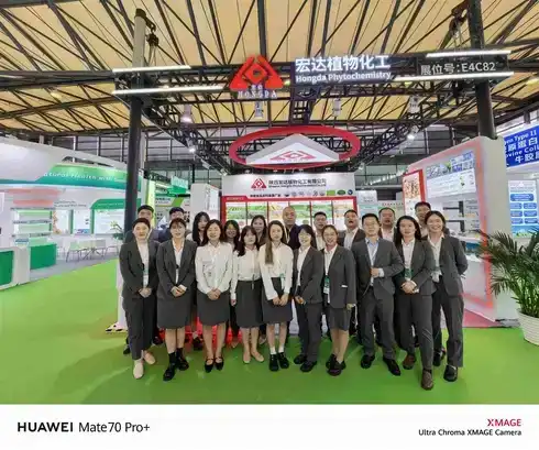 Direct Hit Shaanxi Hongda Shanghai CPHI Exhibition Site: